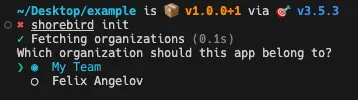 Screenshot of doing `patchwing init` command and selecting an organization